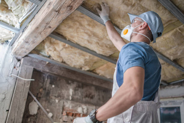 Best Specialized Insulation Services in Berthoud, CO